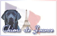 Chiens de France