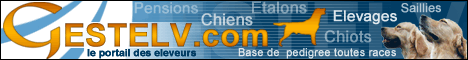 Vous recherchez un pedigree, un �talon, une port�e, venez sur le portail N�1 des �leveurs.